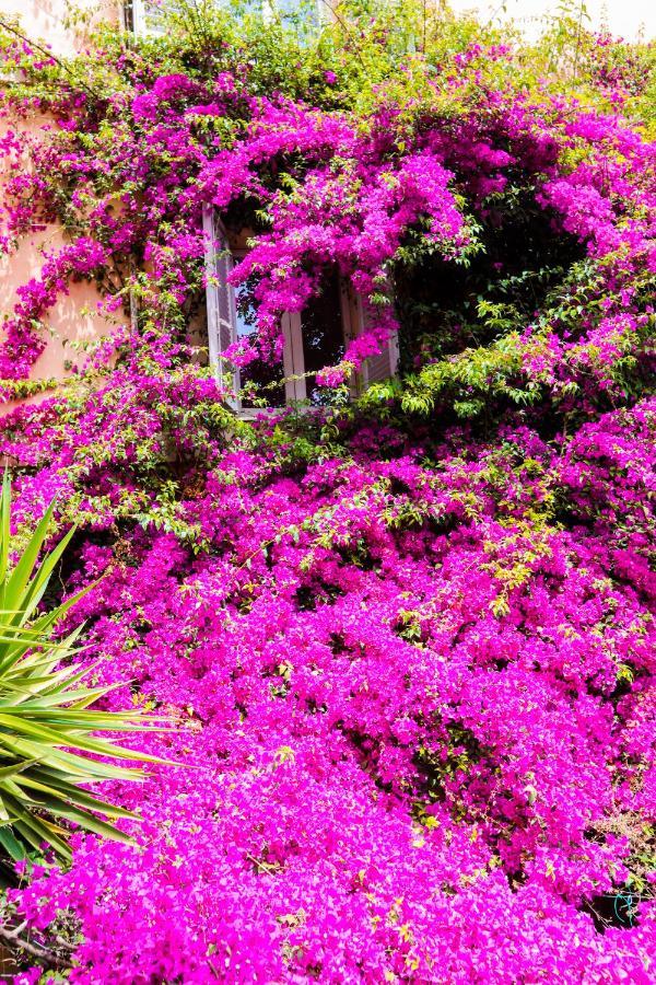 Orti 27 Garden Rome Trastevere - Rome Vacation M&D Luaran gambar